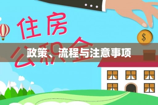 曹县政策、流程与注意事项