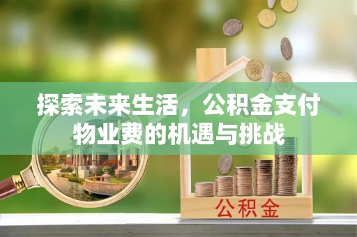 曹县探索未来生活，公积金支付物业费的机遇与挑战