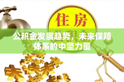 曹县公积金发展趋势，未来保障体系的中坚力量