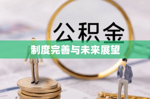 曹县制度完善与未来展望