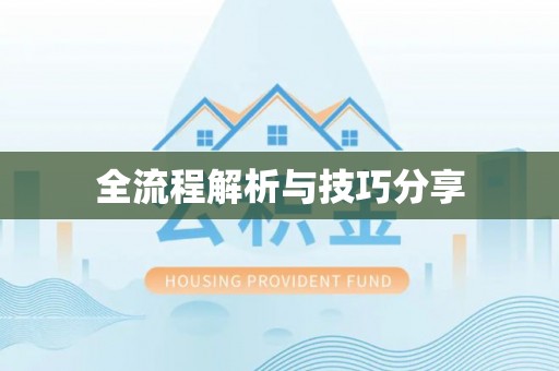 曹县全流程解析与技巧分享